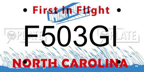 F503GI North Carolina License Plate