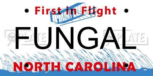 FUNGAL North Carolina License Plate