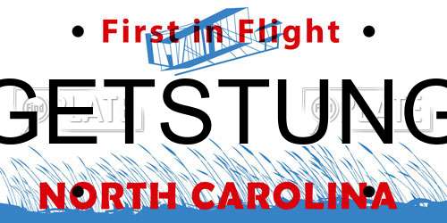 GETSTUNG North Carolina License Plate
