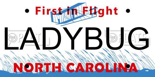 LADYBUG North Carolina License Plate