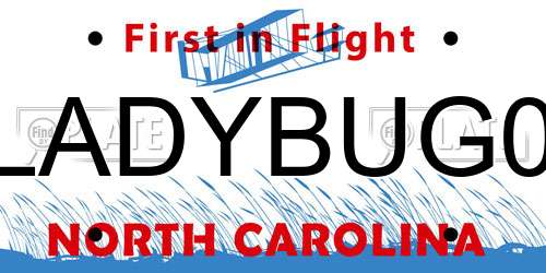 LADYBUG0 North Carolina License Plate