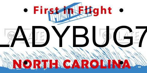 LADYBUG7 North Carolina License Plate