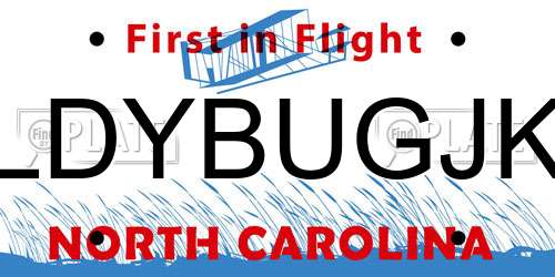 LDYBUGJK North Carolina License Plate