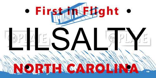 LILSALTY North Carolina License Plate