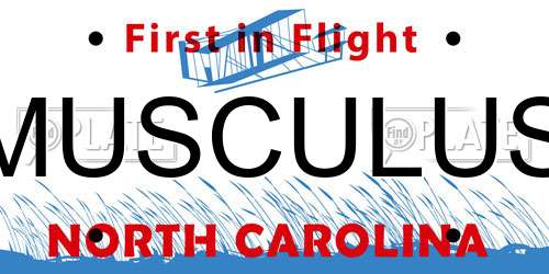 MUSCULUS North Carolina License Plate