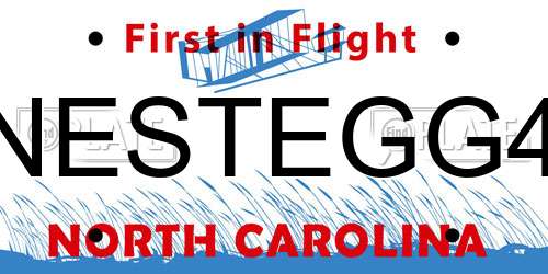 NESTEGG4 North Carolina License Plate