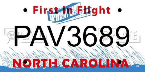 PAV3689 North Carolina License Plate