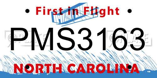 PMS3163 North Carolina License Plate