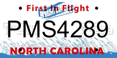 PMS4289 North Carolina License Plate