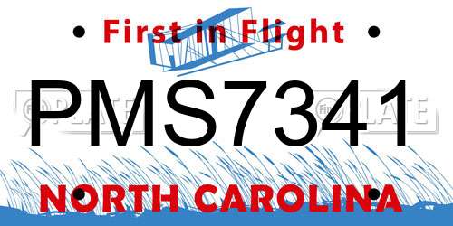 PMS7341 North Carolina License Plate