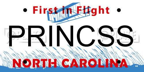 PRINCSS North Carolina License Plate