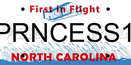 PRNCESS1 North Carolina License Plate