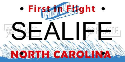 SEALIFE North Carolina License Plate
