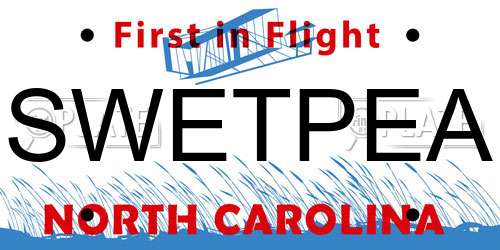 SWETPEA North Carolina License Plate
