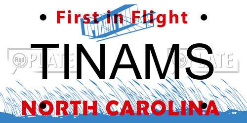 TINAMS North Carolina License Plate