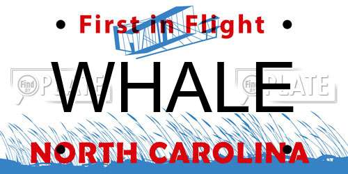 WHALE North Carolina License Plate