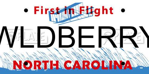 WLDBERRY North Carolina License Plate