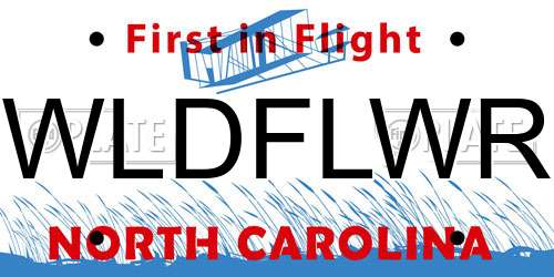 WLDFLWR North Carolina License Plate
