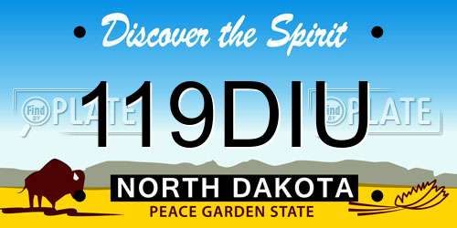 119DIU North Dakota License Plate