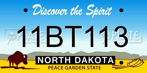 11BT113 North Dakota License Plate