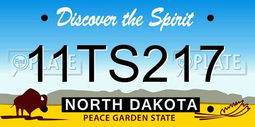 11TS217 North Dakota License Plate