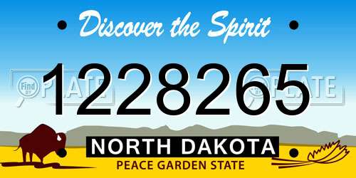 1228265 North Dakota License Plate