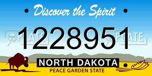 1228951 North Dakota License Plate