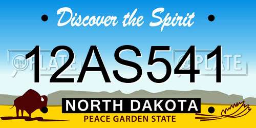12AS541 North Dakota License Plate