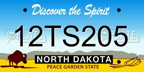 12TS205 North Dakota License Plate