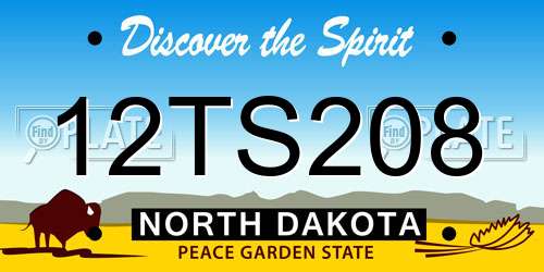 12TS208 North Dakota License Plate