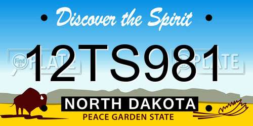 12TS981 North Dakota License Plate