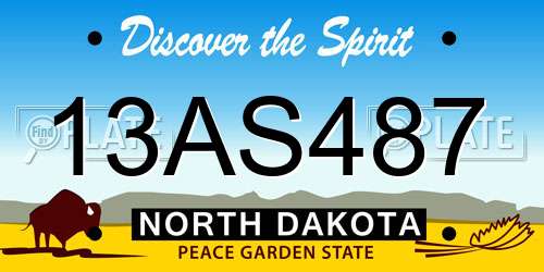 13AS487 North Dakota License Plate
