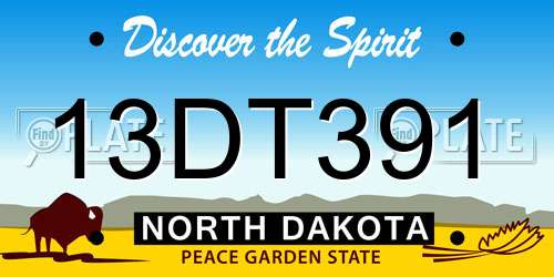 13DT391 North Dakota License Plate