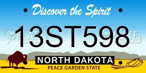 13ST598 North Dakota License Plate