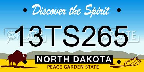 13TS265 North Dakota License Plate