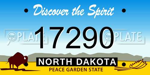 17290 North Dakota License Plate