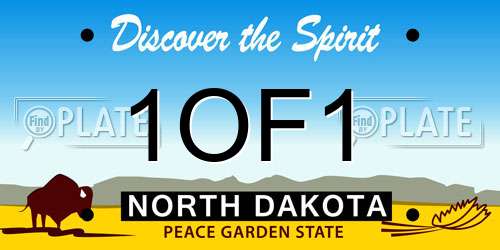 1OF1 North Dakota License Plate