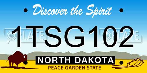 1TSG102 North Dakota License Plate