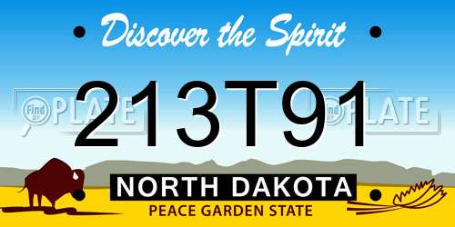 213T91 North Dakota License Plate