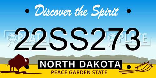 22SS273 North Dakota License Plate