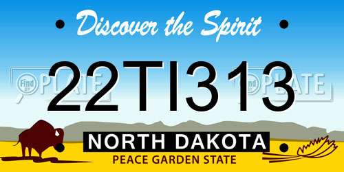 22TI313 North Dakota License Plate