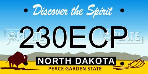 230ECP North Dakota License Plate