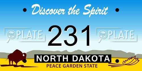 231 North Dakota License Plate