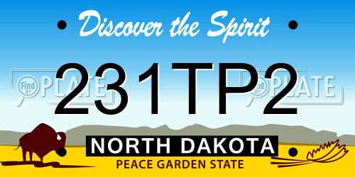 231TP2 North Dakota License Plate