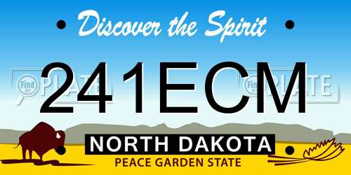 241ECM North Dakota License Plate