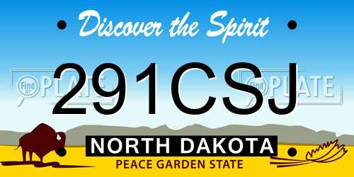291CSJ North Dakota License Plate
