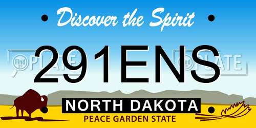 291ENS North Dakota License Plate