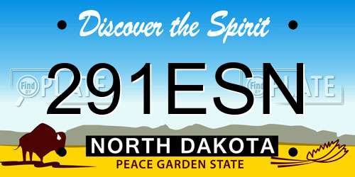 291ESN North Dakota License Plate