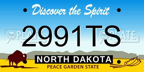 2991TS North Dakota License Plate