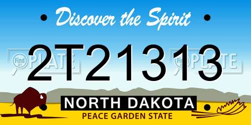 2T21313 North Dakota License Plate